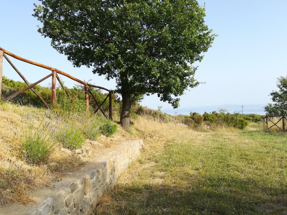 קורטונה La Casa Gialla Belvedere מראה חיצוני תמונה